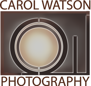 Logo-Design von Marco Polo für Carol Watson Photogr | Design #67056