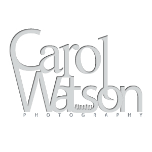 Logo Design by KurfewDesigns for Carol Watson Photogr | Design #65066