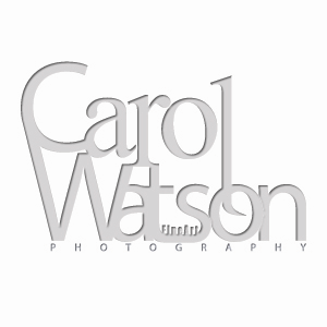 Logo Design by KurfewDesigns for Carol Watson Photogr | Design: #65066