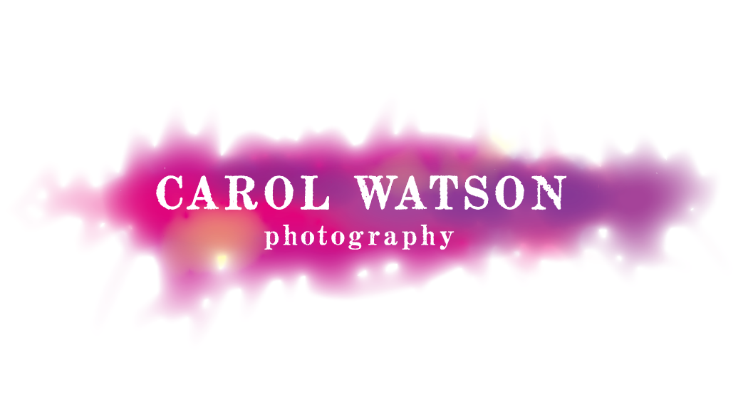 Logo Design by little jo for Carol Watson Photogr | Design #65921