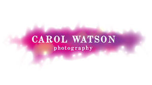 Logo Design by little jo for Carol Watson Photogr | Design: #65921