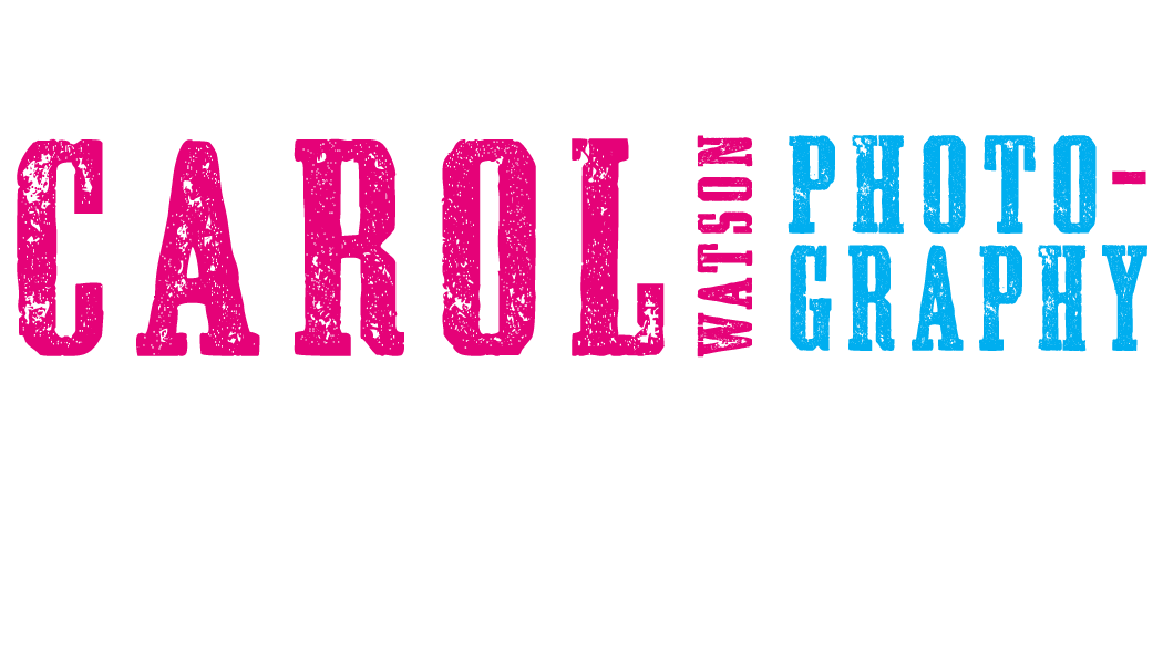 Logo Design by little jo for Carol Watson Photogr | Design #65924