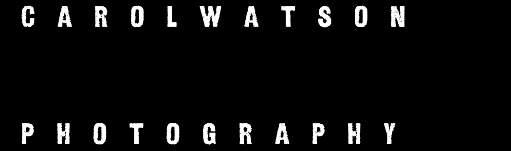 Logo Design by little jo for Carol Watson Photogr | Design #65932