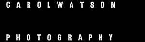 Logo Design by little jo for Carol Watson Photogr | Design: #65932