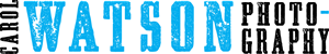 Logo Design by little jo for Carol Watson Photogr | Design: #66042
