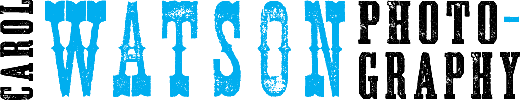 Logo Design by little jo for Carol Watson Photogr | Design #66046