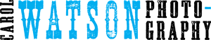 Logo Design by little jo for Carol Watson Photogr | Design: #66046