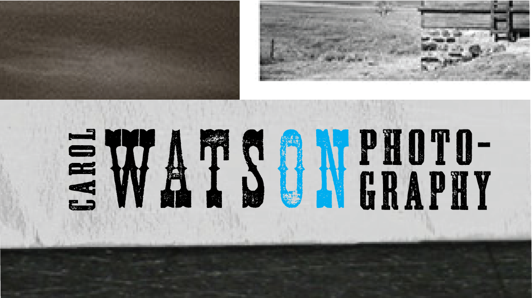 Logo Design by little jo for Carol Watson Photogr | Design #66048