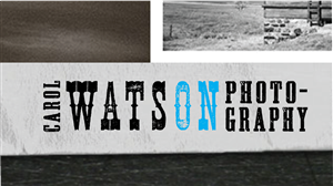 Logo Design by little jo for Carol Watson Photogr | Design: #66048
