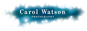Logo Design by little jo for Carol Watson Photogr | Design: #66061