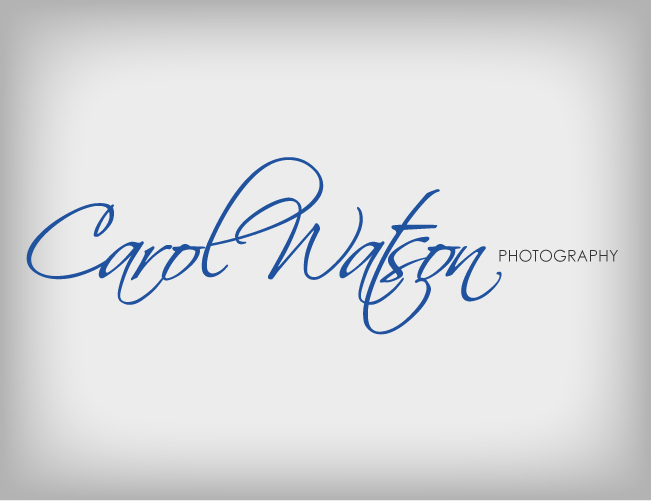 Logo Design by Stellar Designs for Carol Watson Photogr | Design #64472