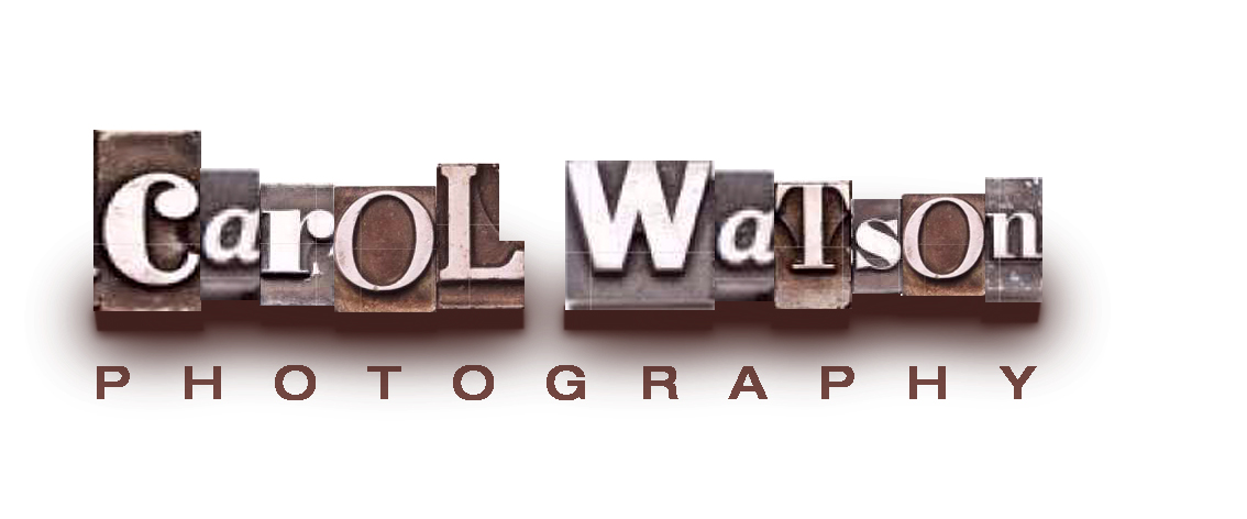 Logo Design by Fabrika for Carol Watson Photogr | Design #64536