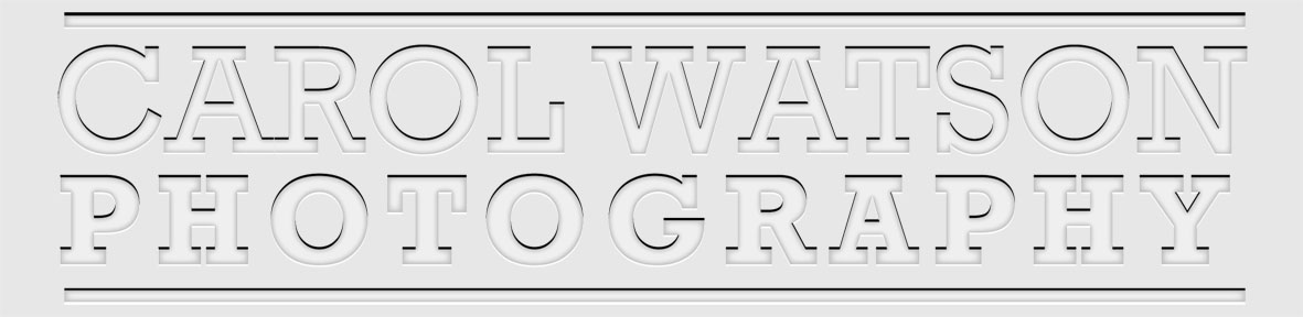 Logo Design by Fabrika for Carol Watson Photogr | Design #64879