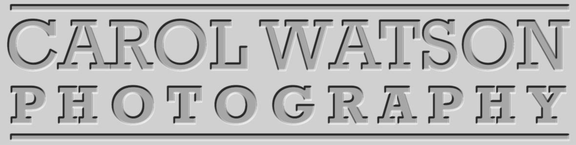 Logo Design by Fabrika for Carol Watson Photogr | Design #65787