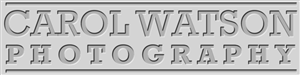 Logo Design by Fabrika for Carol Watson Photogr | Design: #65787