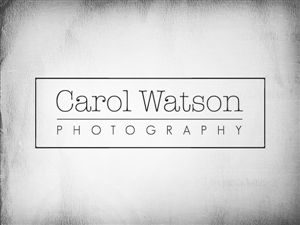 Logo Design by PC Design