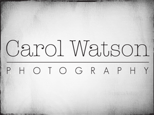 Logo Design by PC Design for Carol Watson Photogr | Design: #66183