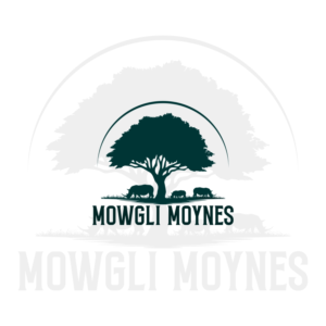 mowglimoynes or mowgli moynes | Design de Logo par Rhibas