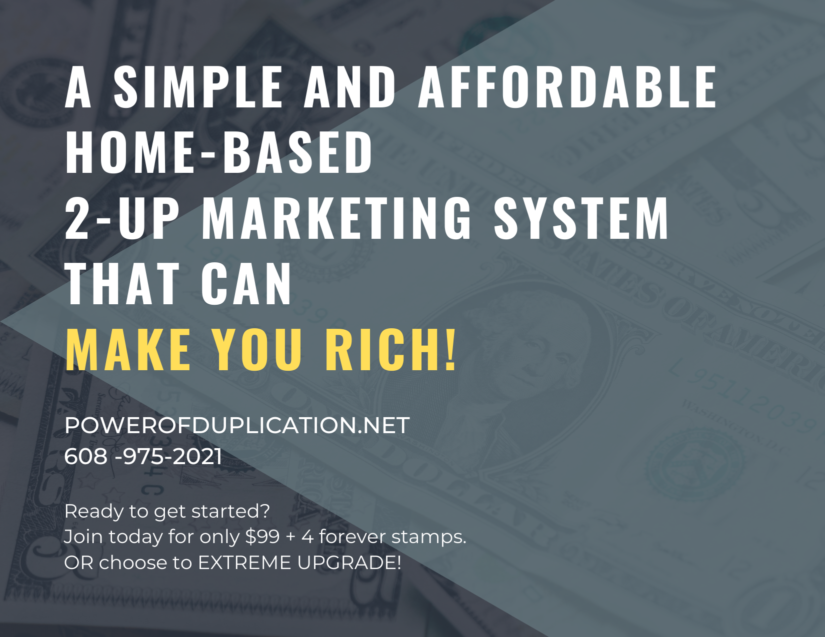 Postcard Design by Avery Danielle for Menard Marketing LLC | Design #26015275