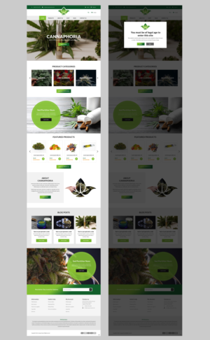 Web Design by pb for cannaphoria cbd co. | Design: #26030798