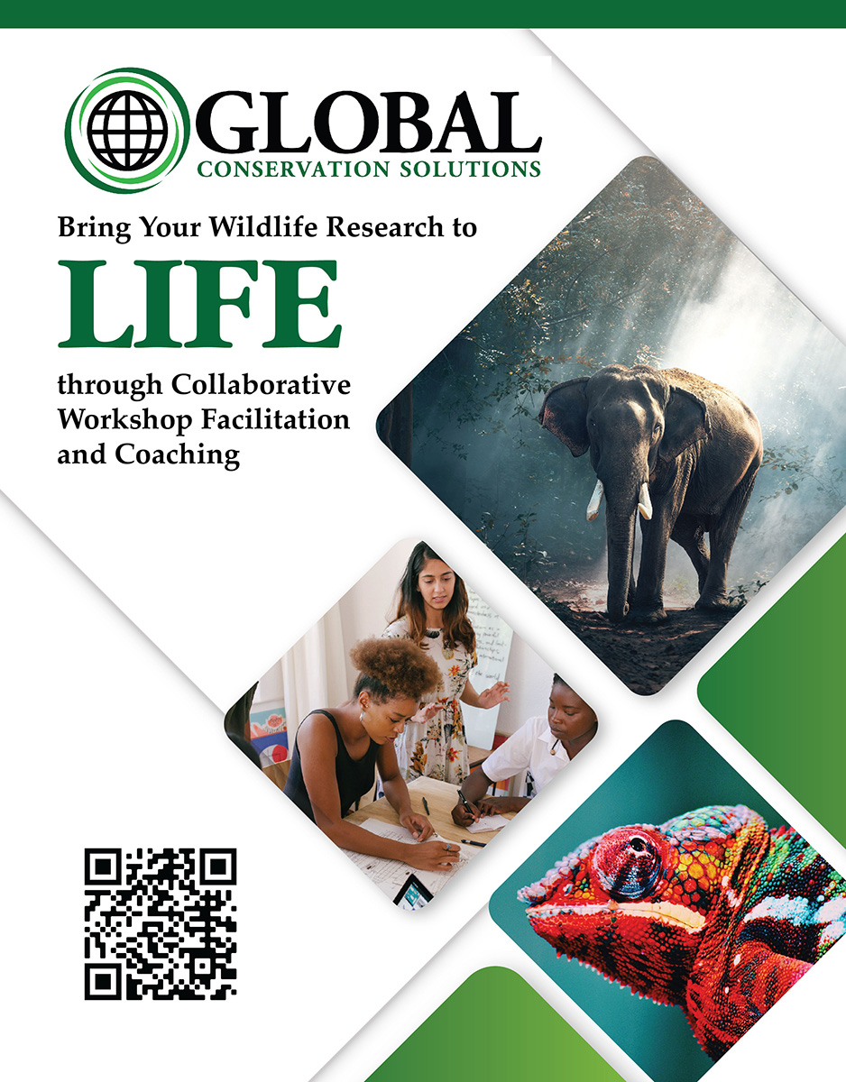 Advertisement Design by OMSPlus Creative Solutions for this project | Design #26026004