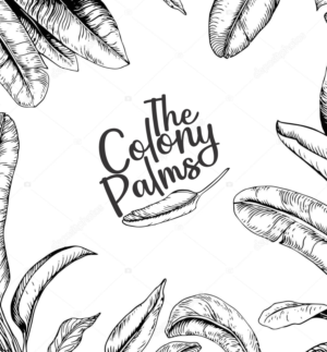 Logo Design by Praza for this project | Design #26022555