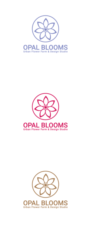 Logo Design by design notebook for this project | Design: #26025283