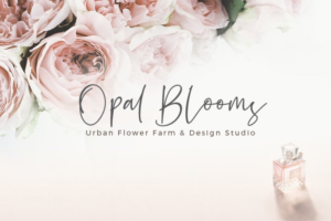 Design de Logo par Shagufta Shafiq pour ce projet | Design #26086942