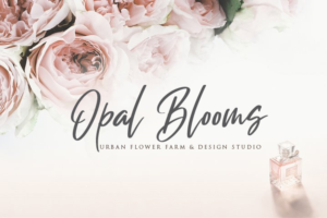 Logo Design by Shagufta Shafiq