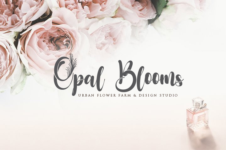 Logo Design by Shagufta Shafiq for this project | Design #26087076