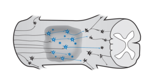 Modification of a scientific cartoon | Design Graphique par see why