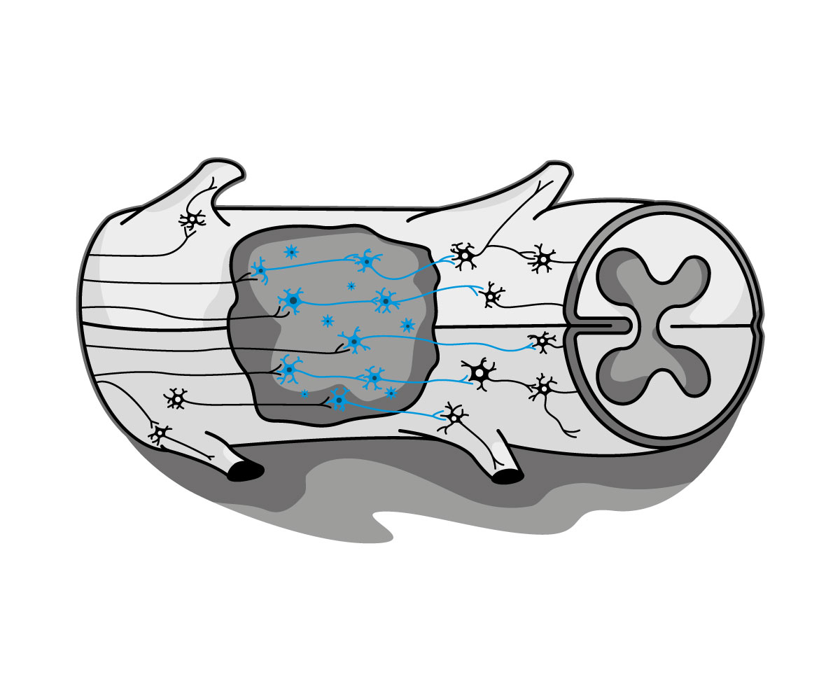 Grafik-Design von SpaGGy für dieses Projekt | Design #26029015