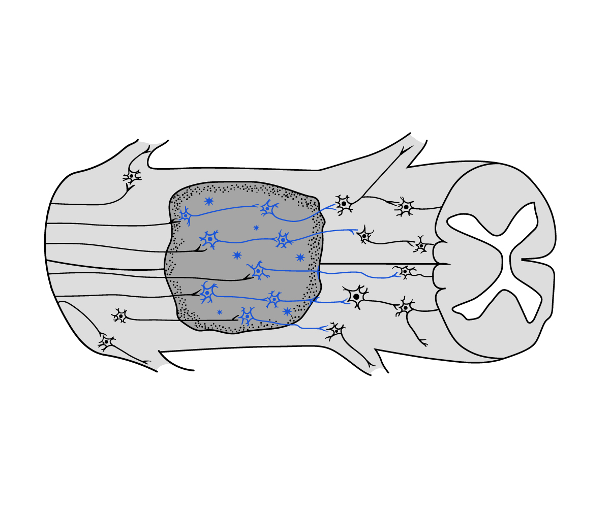 Graphic Design by Andi Yan for this project | Design #26027849