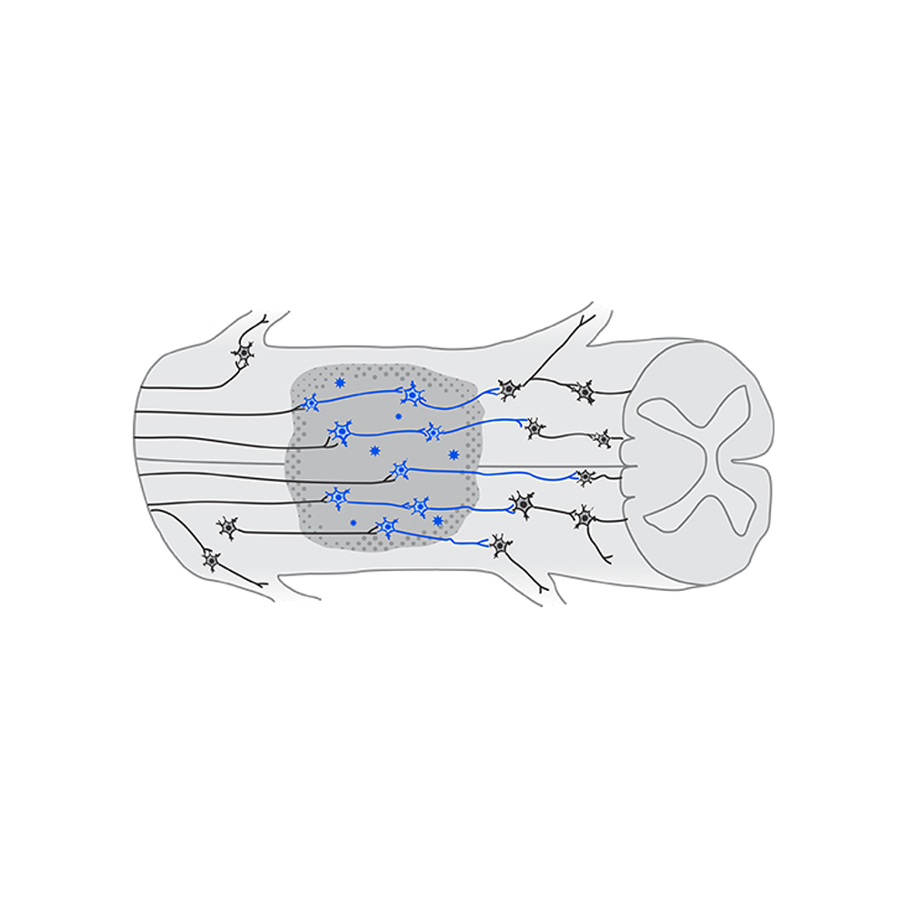 Grafik-Design von Lezette_G für dieses Projekt | Design #26030739