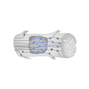 Modification of a scientific cartoon | Design Graphique par Lezette_G