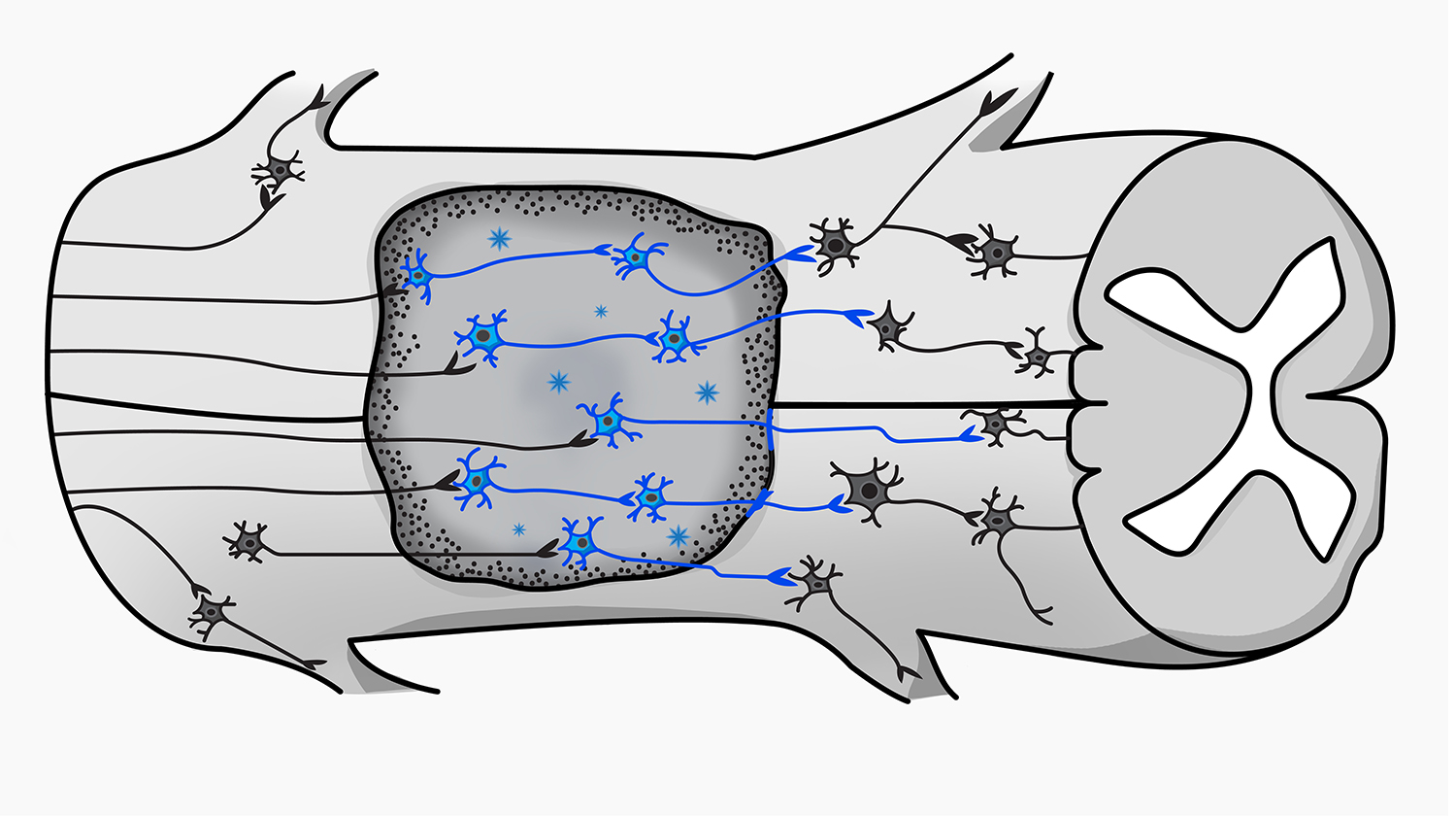 Grafik-Design von sherlock_h für dieses Projekt | Design #26030108