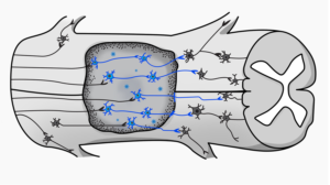 Grafik-Design von sherlock_h für dieses Projekt | Design: #26030108