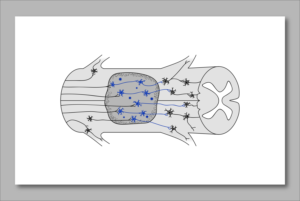 Modification of a scientific cartoon | Design Graphique par Elizaveta M