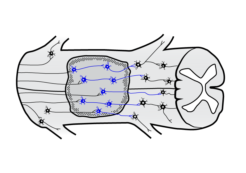 Grafik-Design von G.Krastinkova für dieses Projekt | Design #26028018