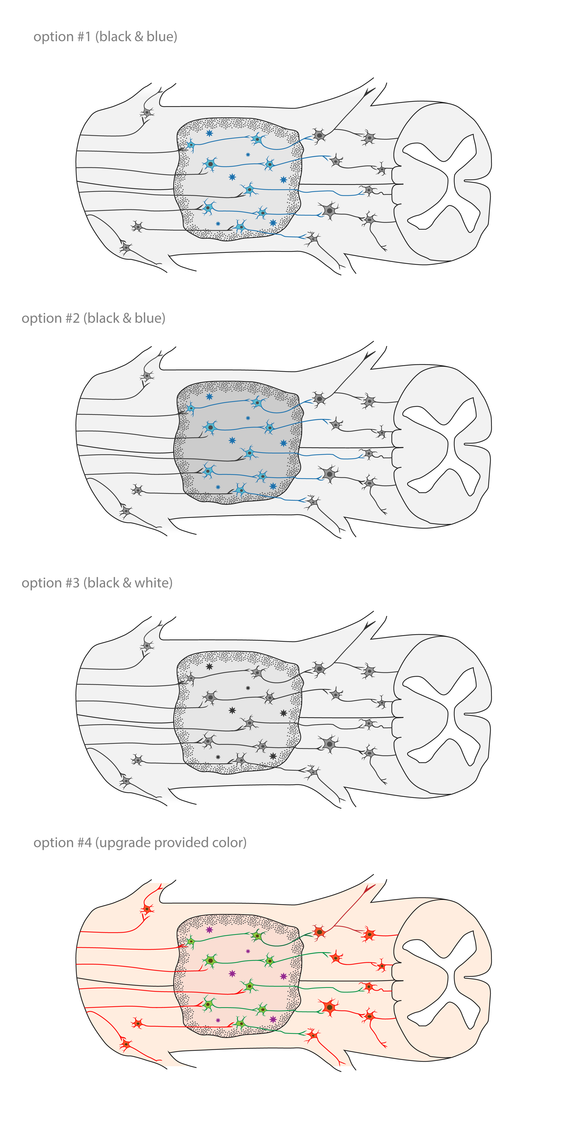 Grafik-Design von Min2 für dieses Projekt | Design #26029666