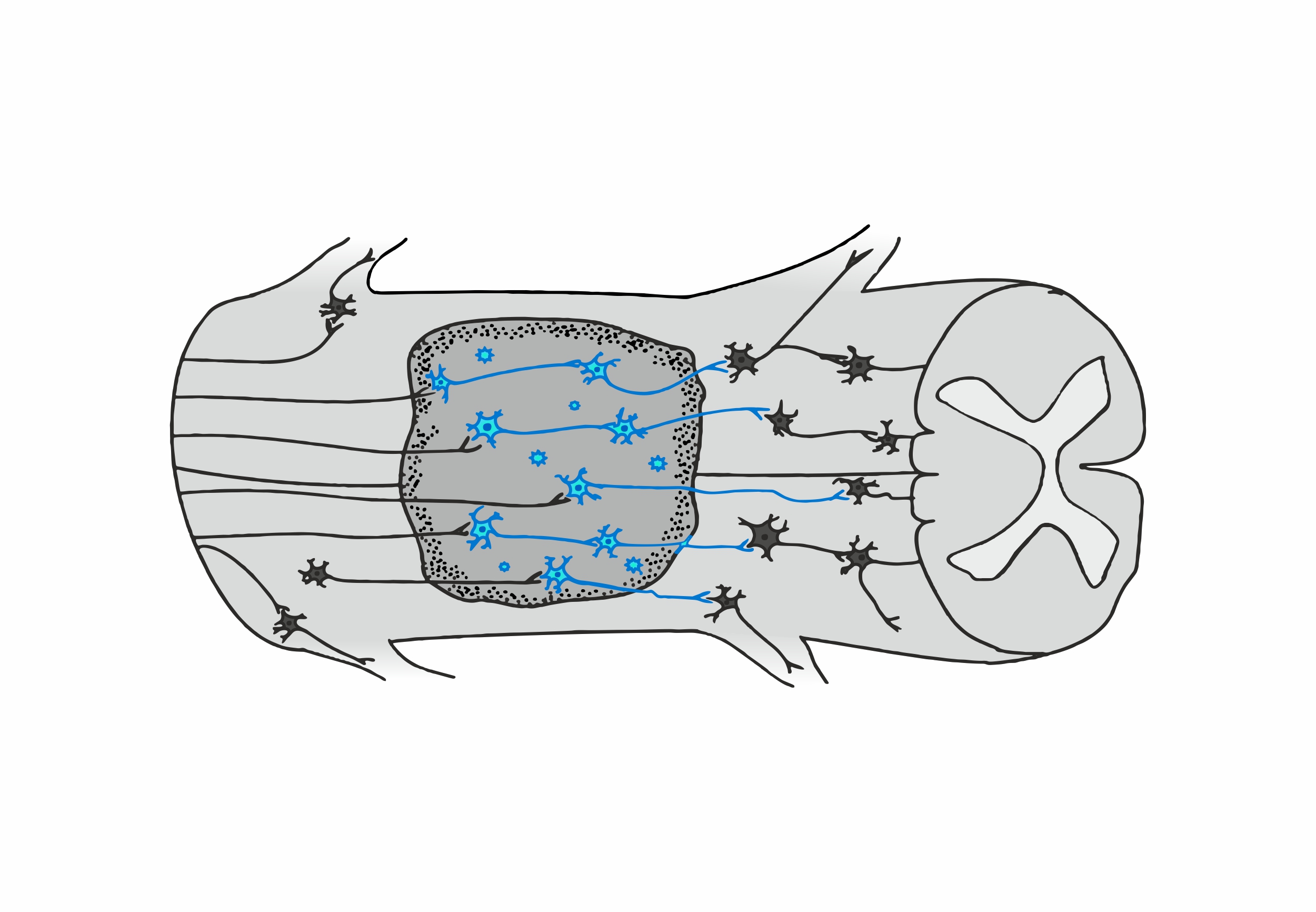 Grafik-Design von Maestroto für dieses Projekt | Design #26029730