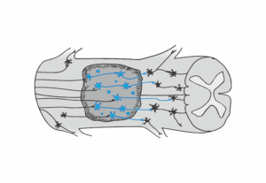 Grafik-Design von Maestroto für dieses Projekt | Design: #26029730