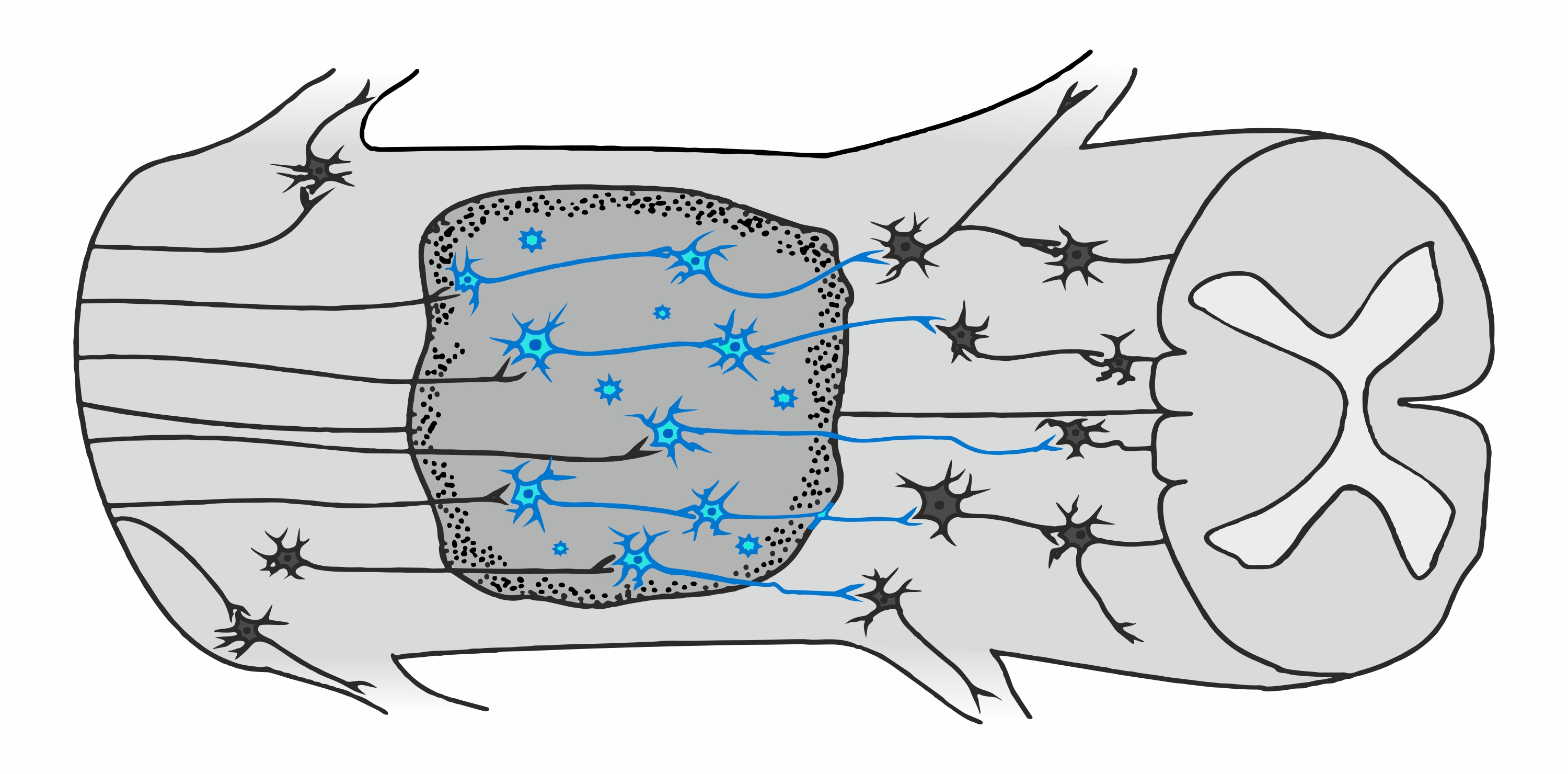 Grafik-Design von Maestroto für dieses Projekt | Design #26045675