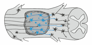 Grafik-Design von Maestroto für dieses Projekt | Design: #26045675