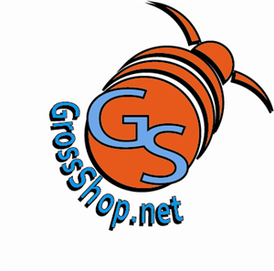 Logo Design by Filip Donevski for Shineful Corporation Limited | Design #3037962