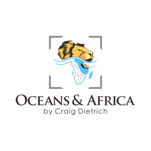 Oceans & Africa by Craig Dietrich | Logo Design by luckdesign