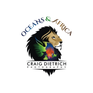 Logo-Design von Ashani Bhattacharya für Oceans & Africa  | Design: #26048808