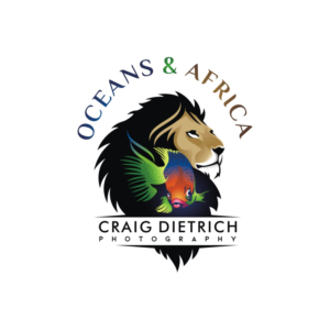 Oceans & Africa by Craig Dietrich | Design de Logo par Ashani Bhattacharya