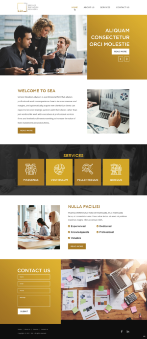 Web Design by pb for Service Elevation Advisors, LLC | Design: #26049125