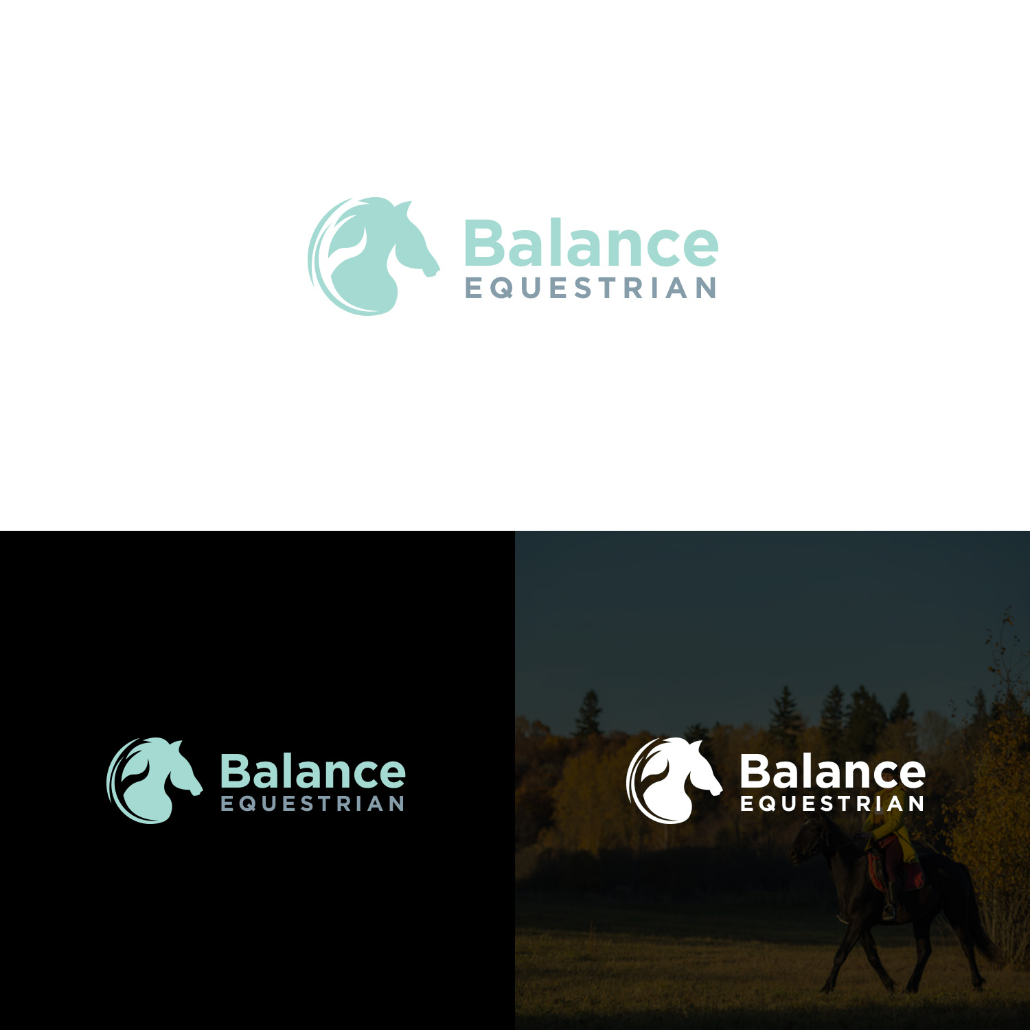 Logo Design by NZ Creatives for Balance Eq | Design #26057615